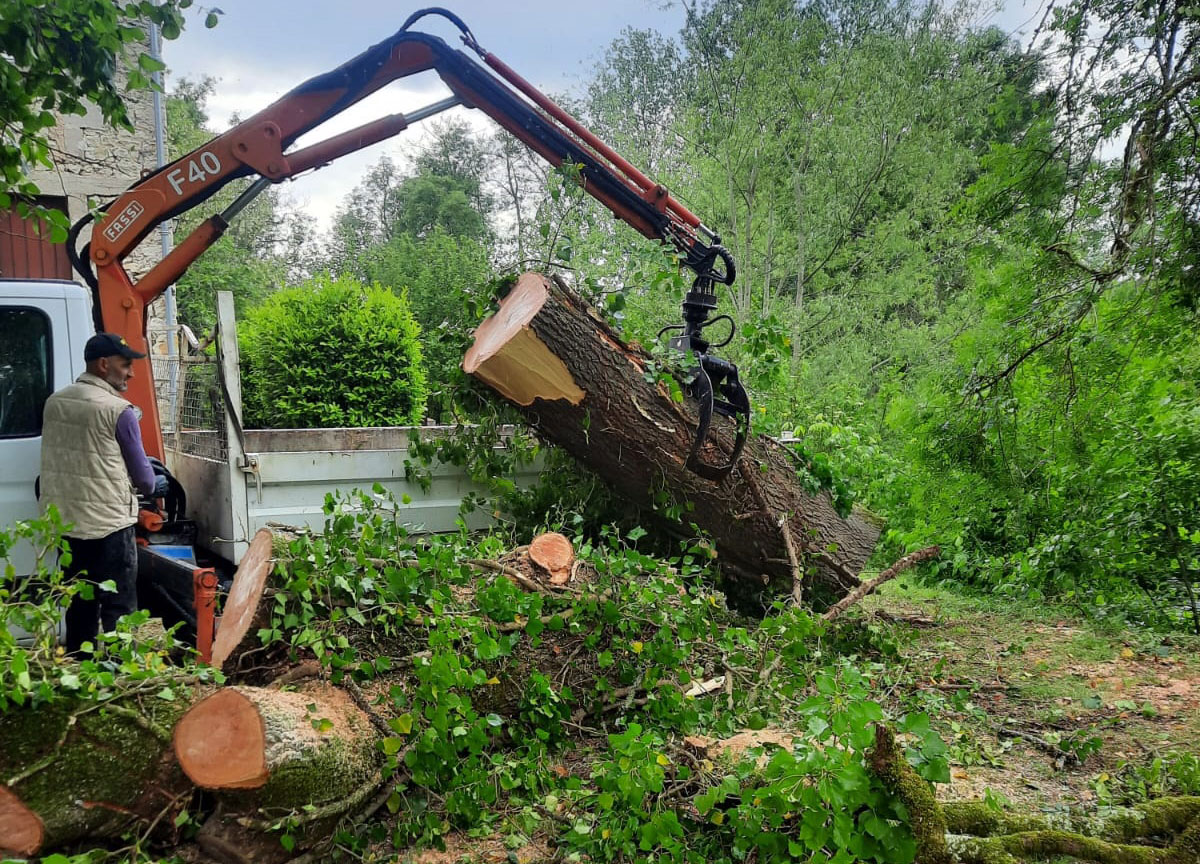 Taille de haie à Barbezieux-Saint-Hilaire