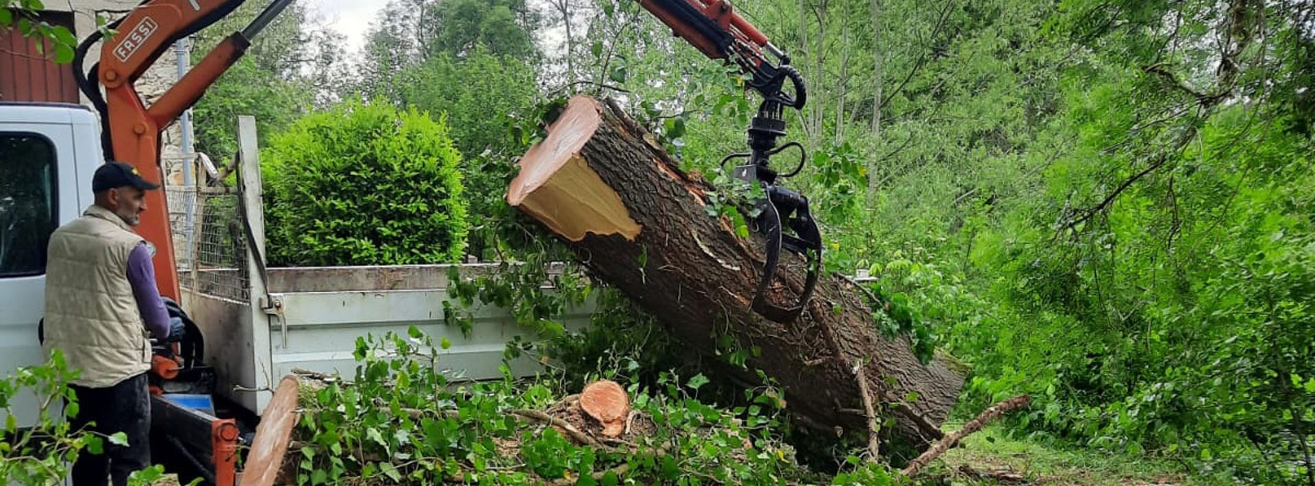 Entretien espace vert à Barbezieux-Saint-Hilaire